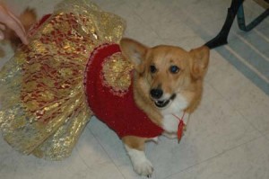 1380944279-1638457576