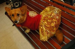 1380944279-516574454