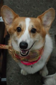 1380944280-1823561862