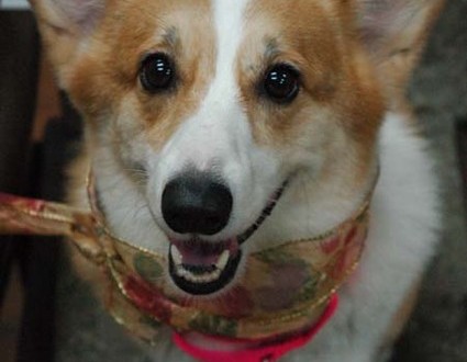 1380944280-1823561862