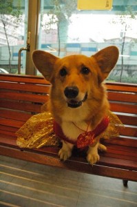 1380944280-4065415639