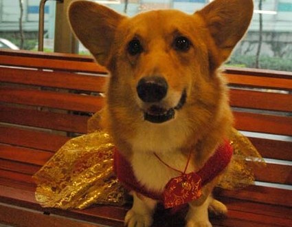 1380944280-4065415639