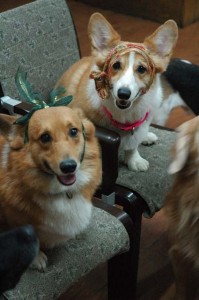 1380944281-1467771815