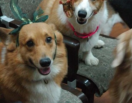 1380944281-1467771815