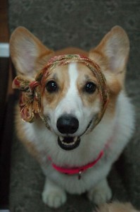 1380944281-2629698106