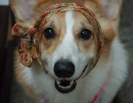 1380944281-2629698106