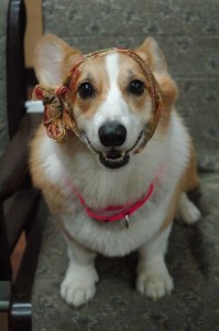 1380944281-877380693