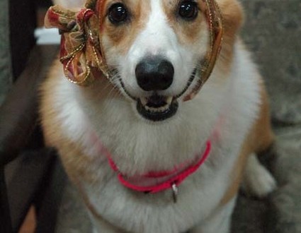 1380944281-877380693