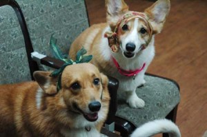 1380944282-3720239137