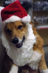 1380944293-2199166411