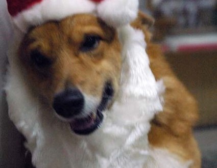 1380944293-2199166411