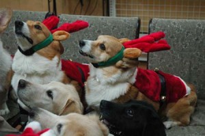 1380944293-2481059443