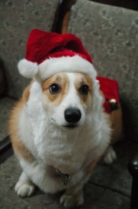 1380944293-4116289916