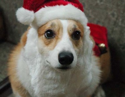 1380944293-4116289916