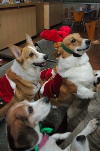 1380944294-1430109335