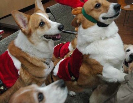 1380944294-1430109335