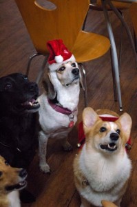 1380944294-469352610