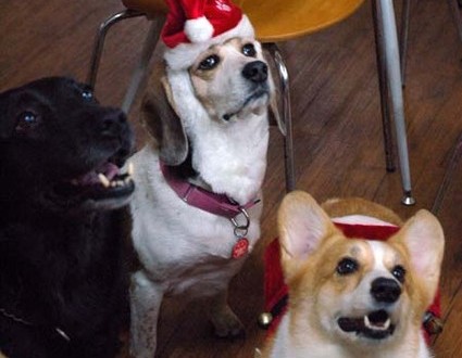 1380944294-469352610