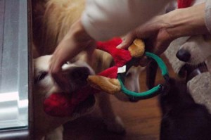 1380944295-2041757577