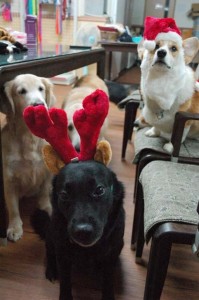 1380944295-2747420214