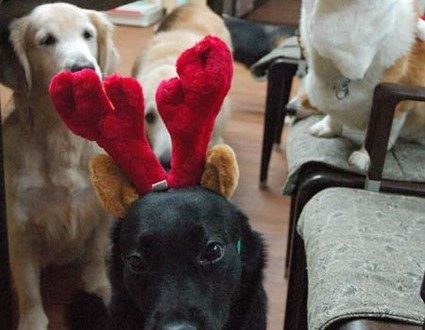 1380944295-2747420214