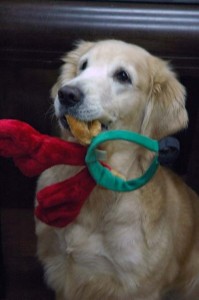 1380944296-1999113196