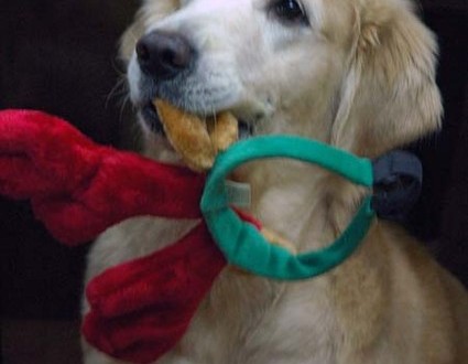 1380944296-1999113196