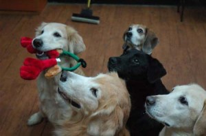 1380944296-3516439833