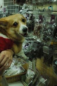 1380944296-996617959