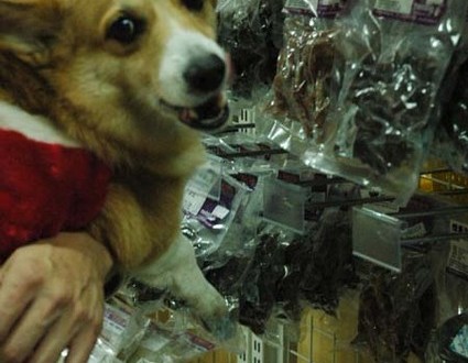 1380944296-996617959