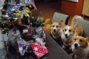 1380944299-1403312270