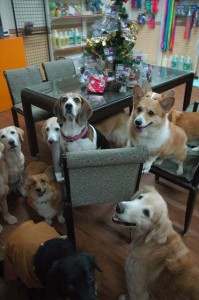 1380944299-1670830119