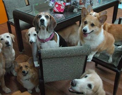 1380944299-1670830119