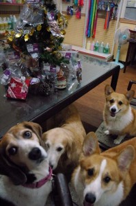 1380944299-2360597730