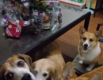 1380944299-2360597730