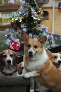 1380944300-3086380436