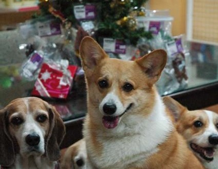 1380944300-3086380436