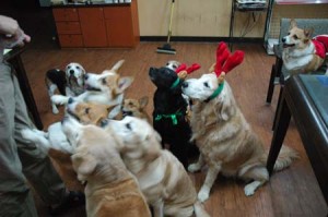 1380944300-4141619631