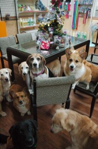 1380944300-707955935