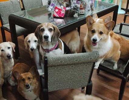 1380944300-707955935