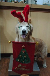 1380944301-2636908964