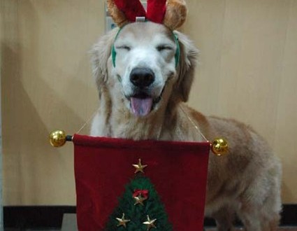 1380944301-2636908964