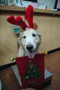 1380944301-3214540047