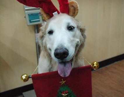 1380944301-3214540047