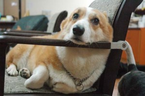 1380944302-1261400508