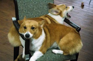 1380944302-235110293