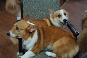 1380944302-263856845