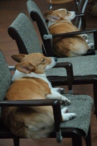 1380944303-1716237866