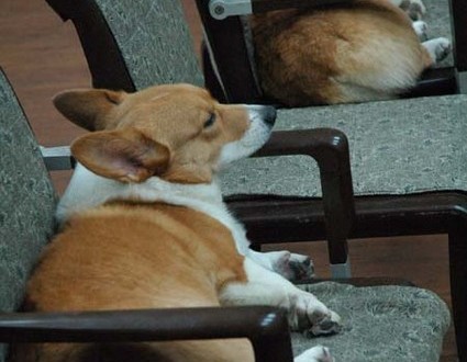 1380944303-1716237866