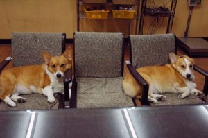 1380944303-326933829